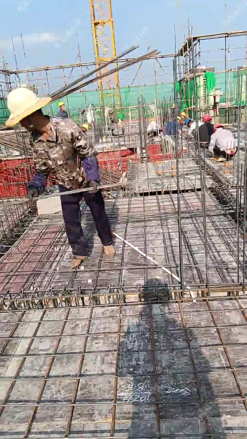 百色就业市场动态与求职技巧